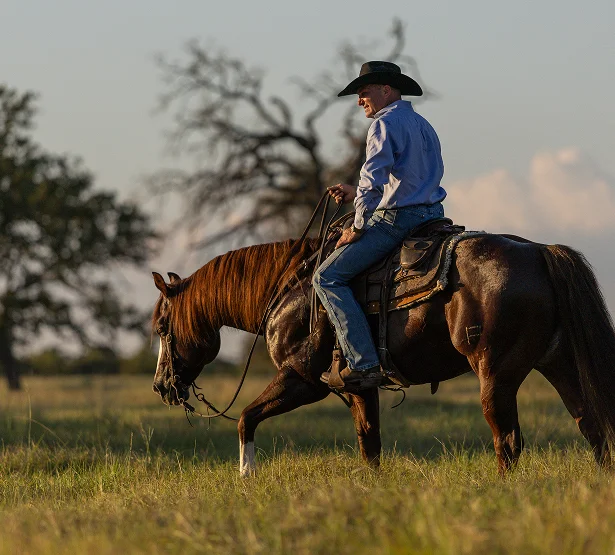 a rider in a black hat riding Pepinstep with greenery in the background