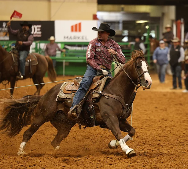 A cowboy in a hat rides Pepinstep in an indoor arena with a lasso