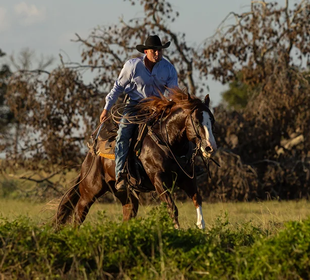 a rider in a black hat galloping on Pepinstep
