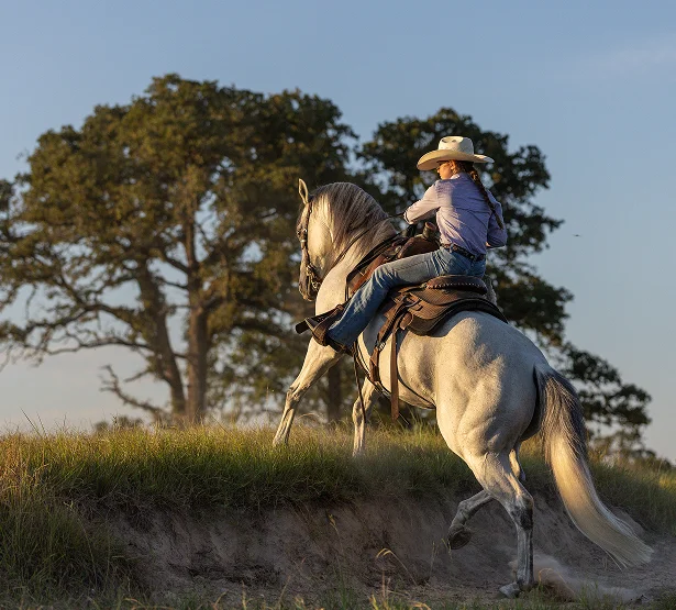 A rider rides SEVS Judgement Day as jumps on a small hills, with large trees in the background