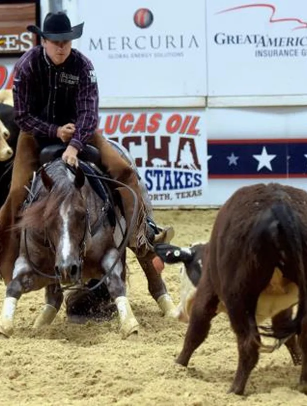 A cowboy in a hat rides a stevie rey von in an indoor arena, guiding it closely around a cow during a cutting horse competition